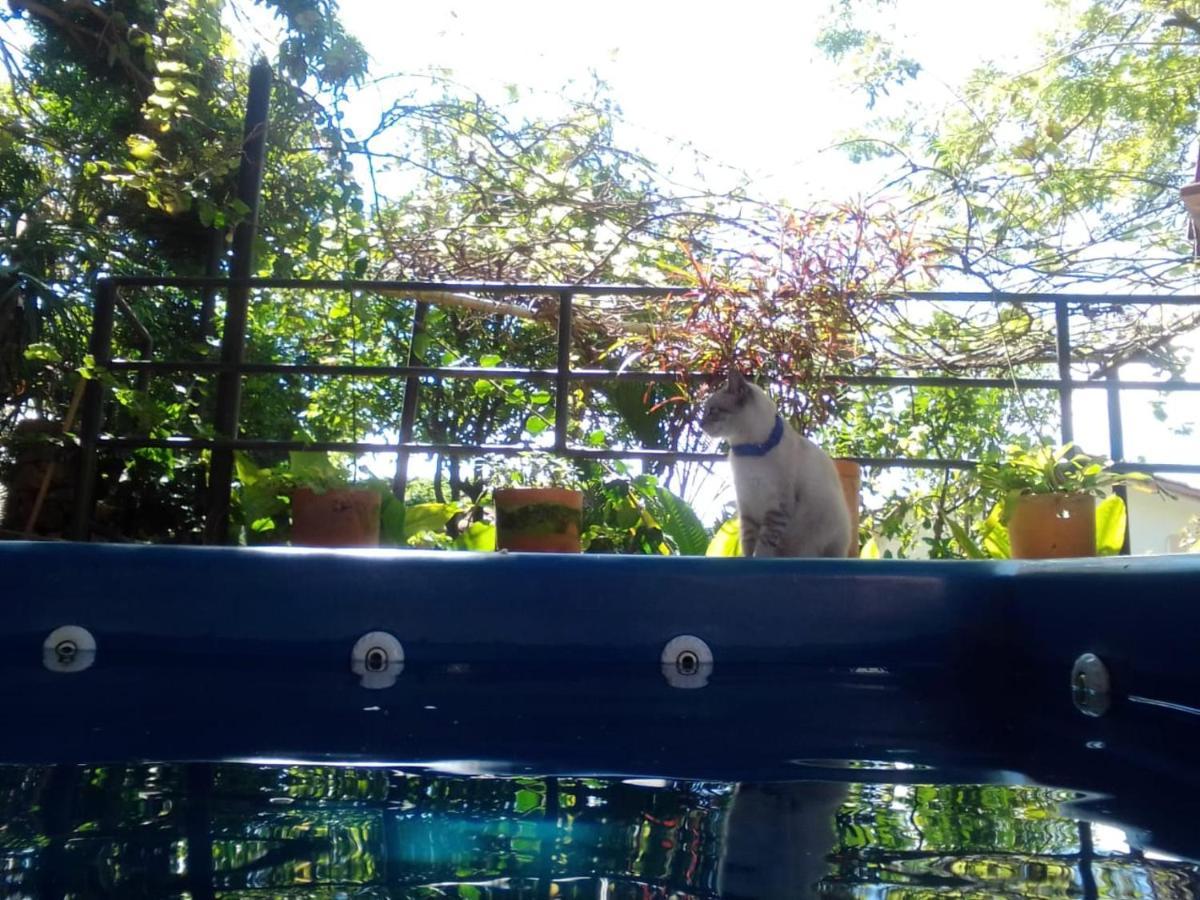 Tinto Hostel Barichara Luaran gambar